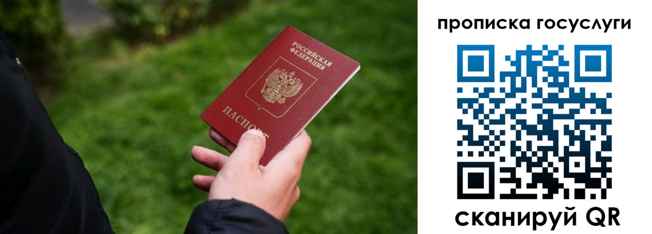 прописка для работы в Волгоградской области
